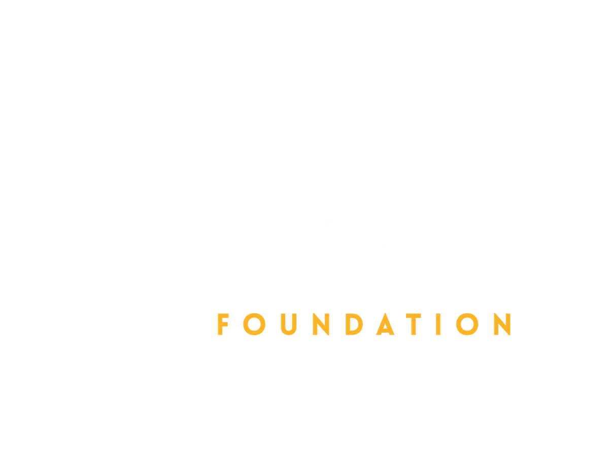 Tema Foundation two-colour wordmark reversed on blue