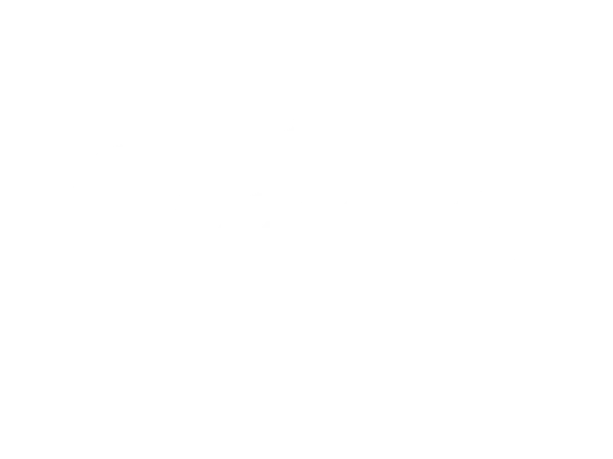 Tema Foundation wordmark reversed in white