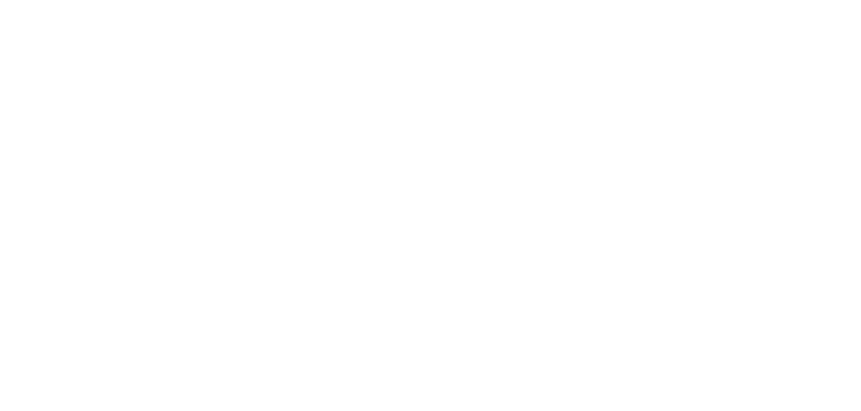 The Tema Foundation wordmark