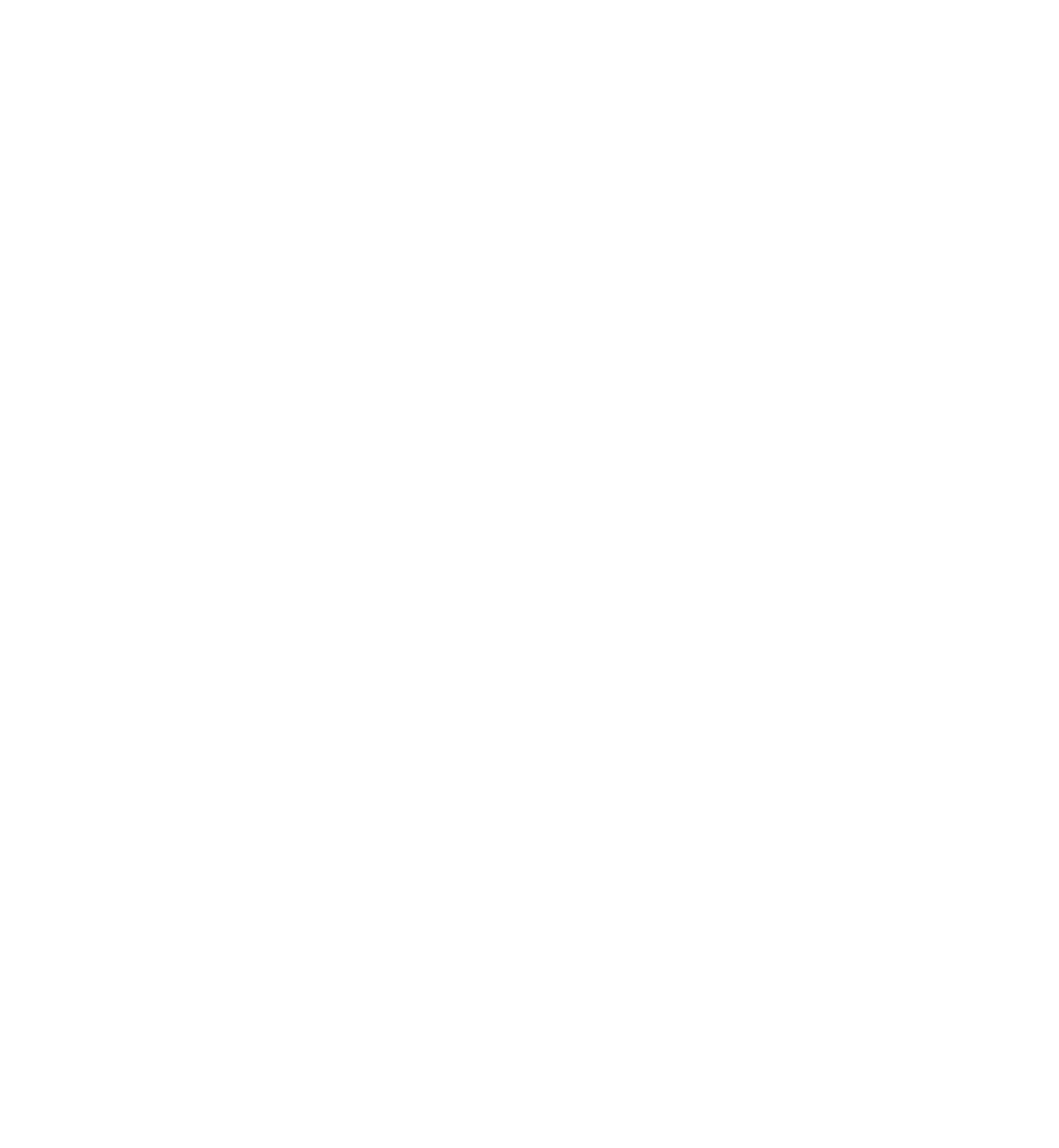 The Protector — TopLevel's home-plate / catcher's-mask mark