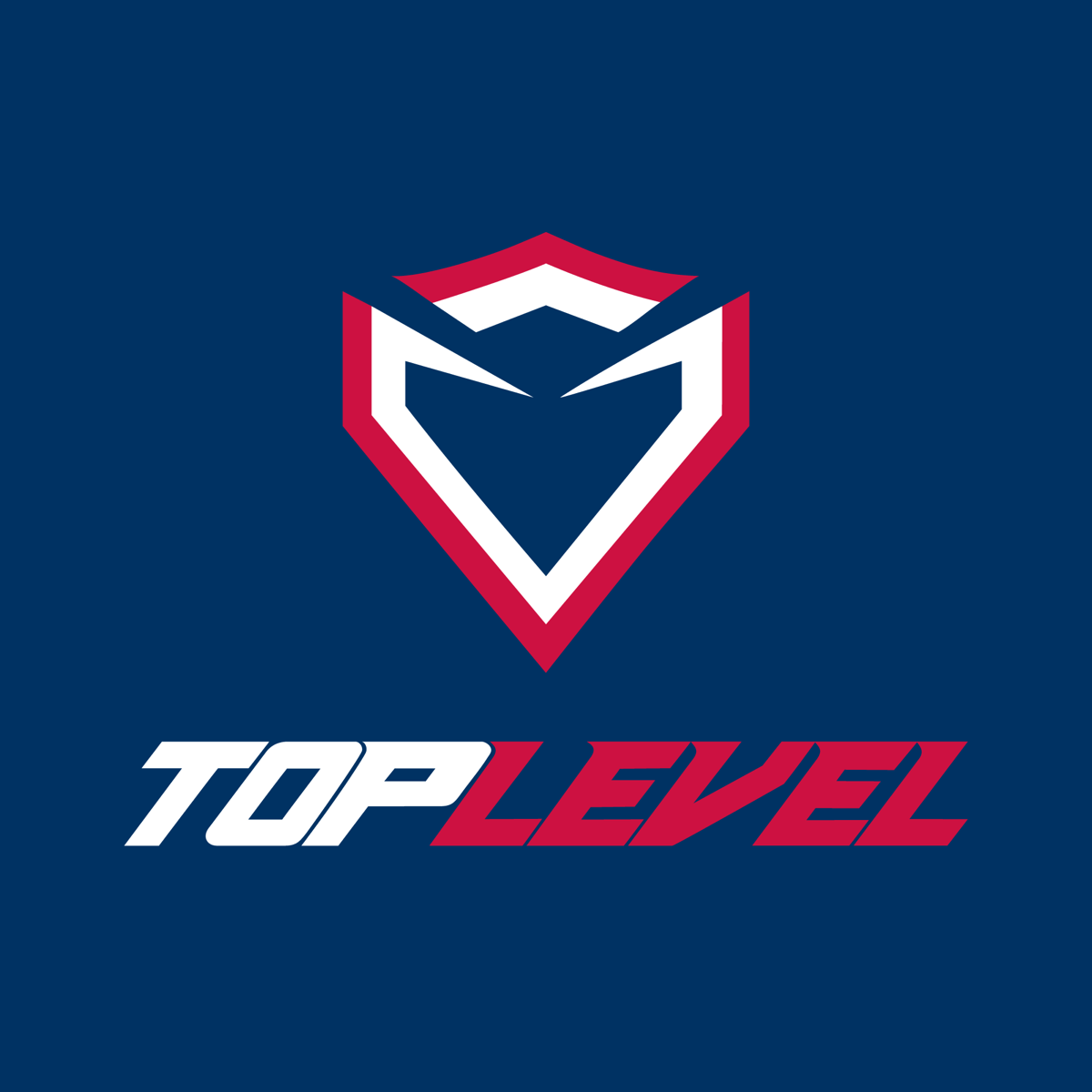 TopLevel brand identity