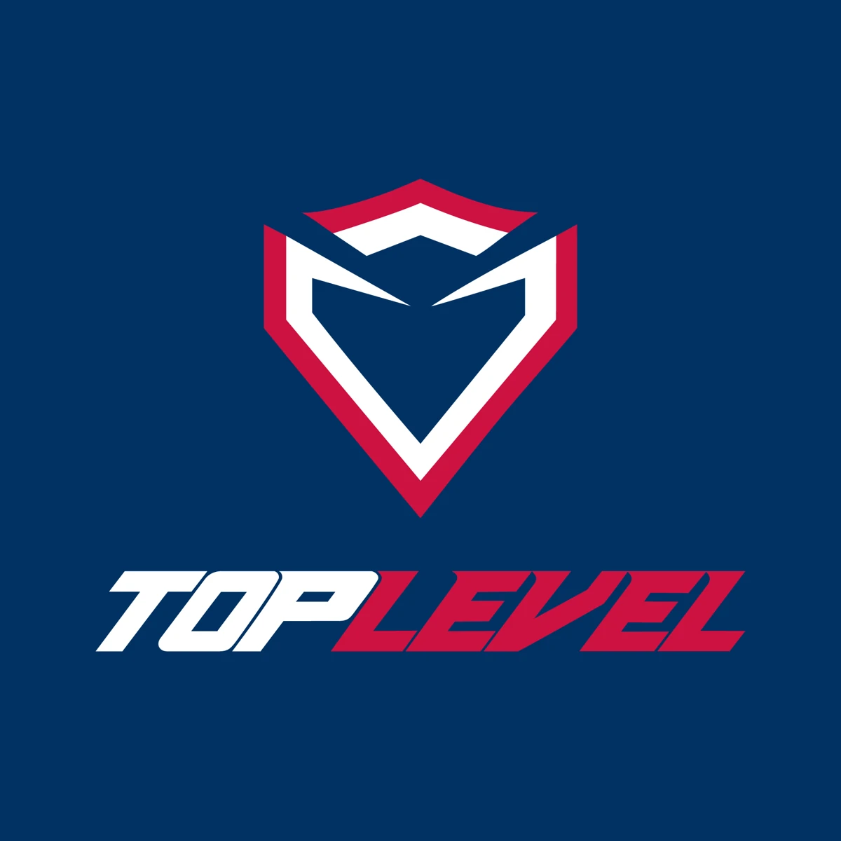 TopLevel primary logo