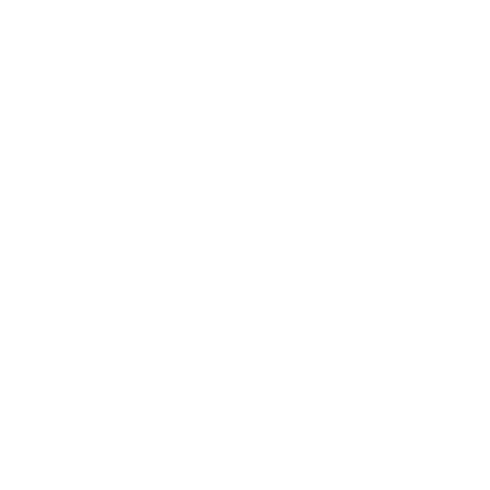 The Zeuron Z-neuron monogram